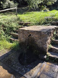 Foto von Kea Falkenauge entlang der Tour