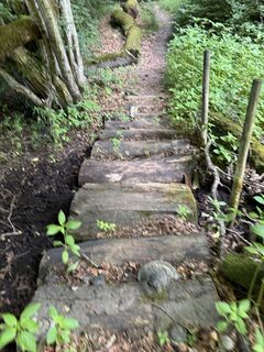 Photo de Denise Miller le long du parcours