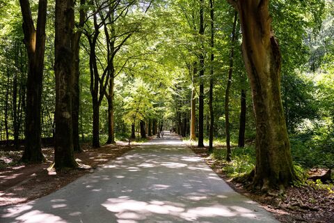 bocholt-park-stadtwald-06