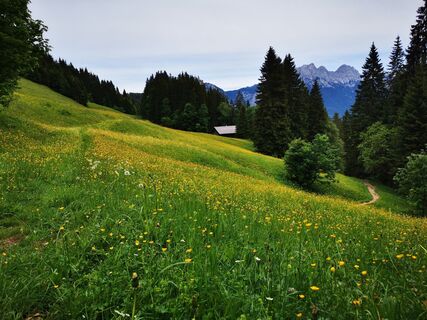 Fotografija s spletne strani Markus221 na poti
