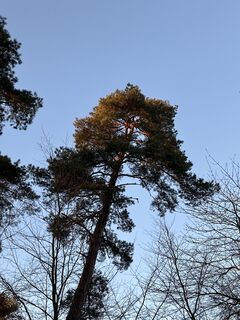 Foto de Hans Niedermeyer a lo largo del recorrido