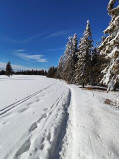 Fotografija s spletne strani v.stein na poti