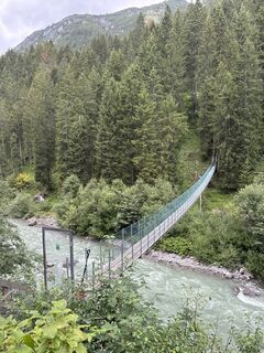 Foto von Grizzli entlang der Tour