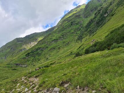 Foto von Sonja Stockreiter entlang der Tour