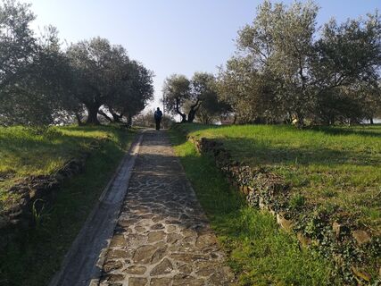 Zdjęcie z Cvetka Salamon wzdłuż trasy