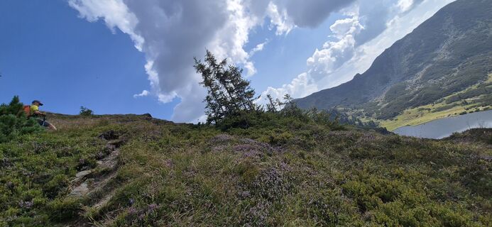 Fotografija s spletne strani Karin Karner 1 na poti