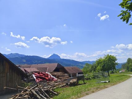 Photo de flexl-e le long du parcours