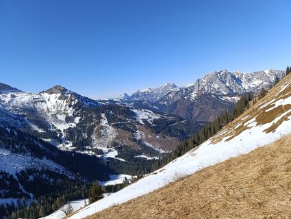 Foto från rotbaeder under resans gång