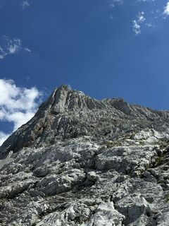 Foto de Pituschka a lo largo del recorrido