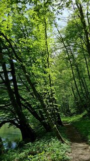 Foto de Sintra Kano a lo largo del recorrido