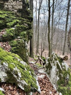 Fotografie z Max Weith na trase