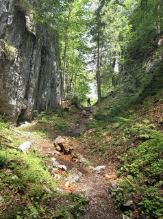 Foto von Gudrun Lippert entlang der Tour