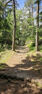 Fotografia z Andreas Henning na trase