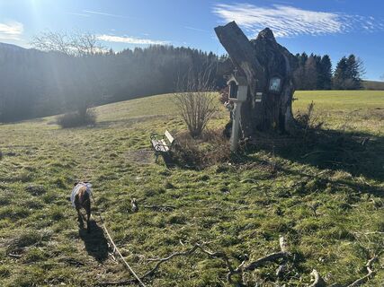 Zdjęcie z Car Wanderfreude wzdłuż trasy