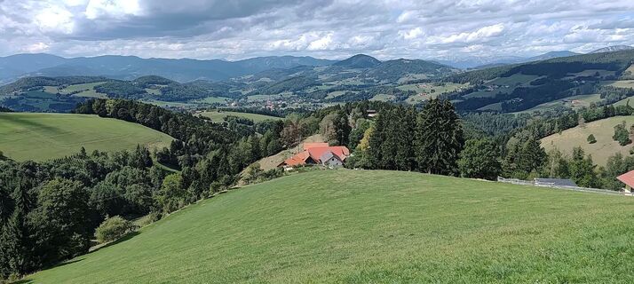 Photo de wolfkl le long du parcours