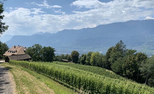 Foto von Tizz Canins entlang der Tour