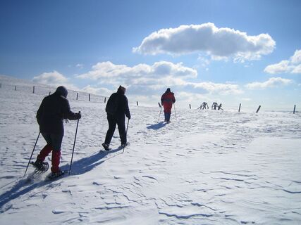Schneeschuhwandern im oberen Bereich der Grebenzen