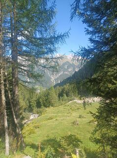 Photo de Dirk Haselhahn le long du parcours