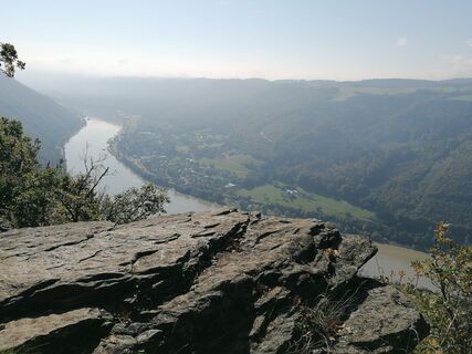 Foto von Wanderfux entlang der Tour