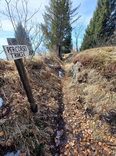 Fotografija s spletne strani Daniele Spezia na poti