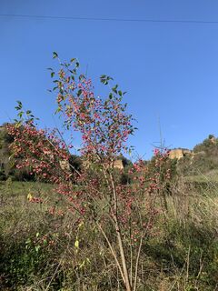 Foto da Andrea Morotti lungo il tour