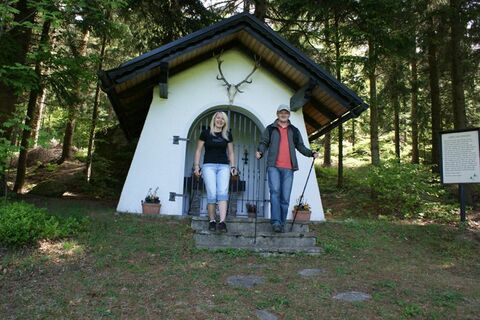 Impressionen Natur-Geheimnis-Pfad WaldReich