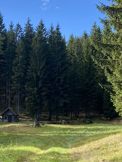 Fotografie de la Dietmar Taurer de-a lungul turului