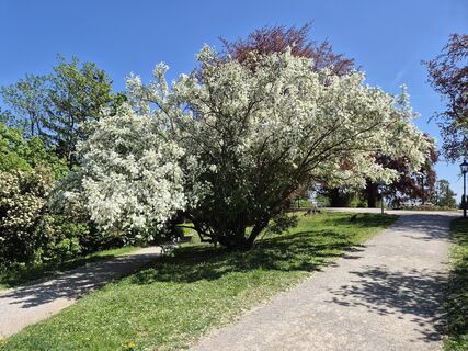 Foto von bernhardundernst entlang der Tour