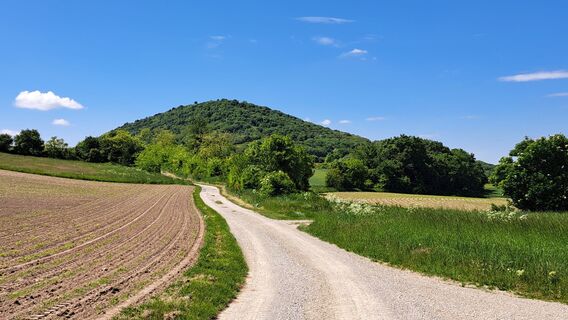 Photo de hoefinj le long du parcours