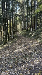 Photo from Sandi along the tour