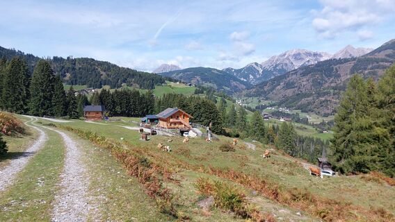 Foto von Annemarie Kolbenbauer entlang der Tour