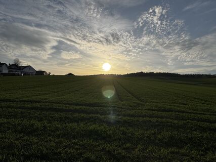 Fotografie z Schaali na trase