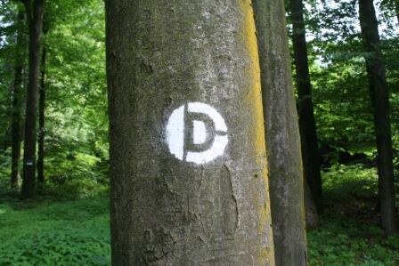 Sprühmarkierung Dunkelsteinerwald-Runde