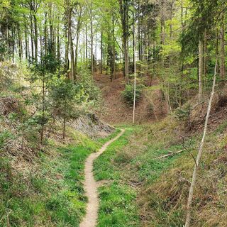 Steinbachklamm, Oststeiermark