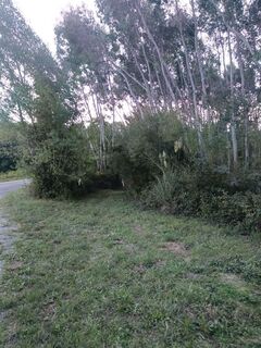 Foto von Serge douillet entlang der Tour