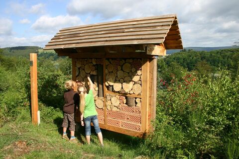 Insektenhotel Sinnepfad Hennesee