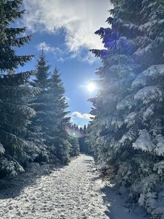 Fotografie z Felicitas Wellhäußer na trase