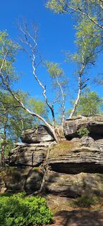 Fotografie z Hallunke Frank na trase