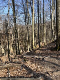 Foto von Gyula Müller entlang der Tour