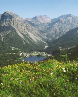 Arosa