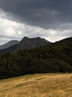 Fotografie z Nicola Florini na trase