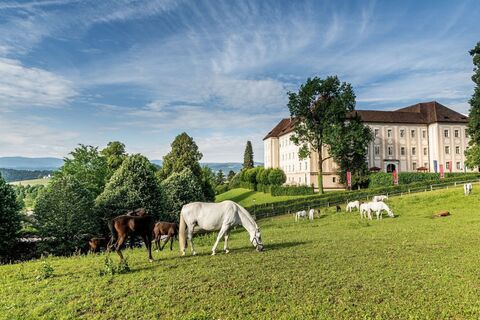 Lipizzanergestüt Piber