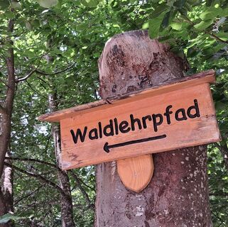 Waldlehrpfad Waldheim in Albstadt-Ebingen