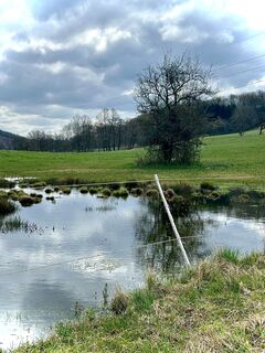 Fotografia z Kellner Heidi na trase