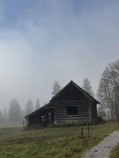 Zdjęcie z Denise Miller wzdłuż trasy