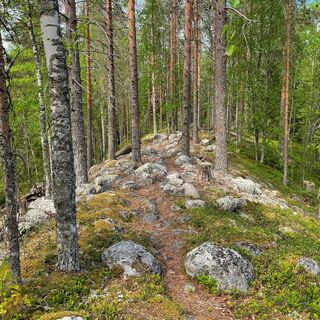 Felsgelände in Susitaipale