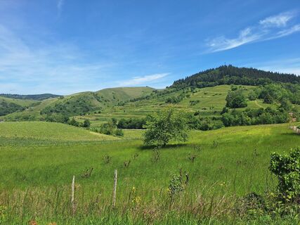 Foto von Katharina entlang der Tour