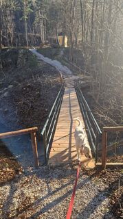 Fotografia z Claudia Maurer na trase