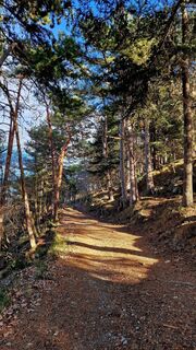 Photo de Fabrizi Mellano le long du parcours