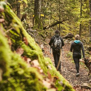 Weg zum Leonhardstein